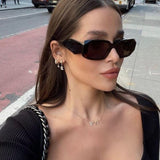 Paloma - Saules Brilles